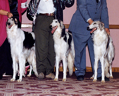 1992 Futurity Brood Bitch Class - 1st