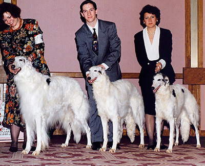 1992 Futurity Stud Dog Class - 1st