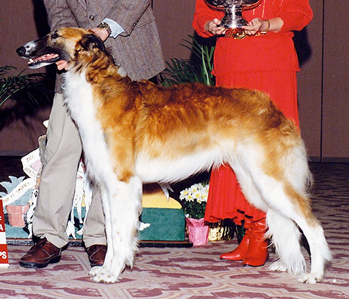 1992 Best in Puppy Sweepstakes