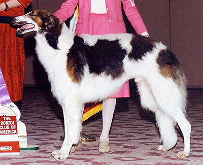 1992 Best Bred By Exhibitor In Specialty