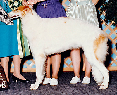 1993 Best Puppy