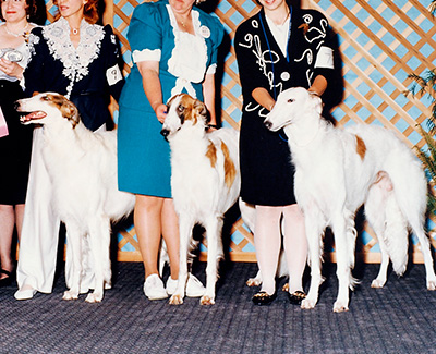 1993 Futurity Brood Bitch Class - 1st