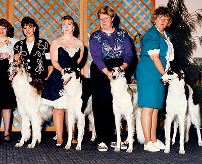 1993 Futurity Stud Dog Class - 1st