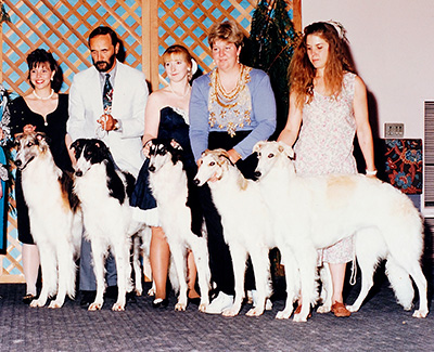 1993 Stud Dog Class - 1st