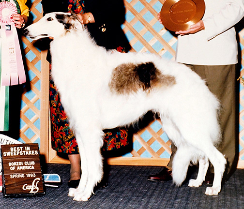 1993 Best in Puppy Sweepstakes