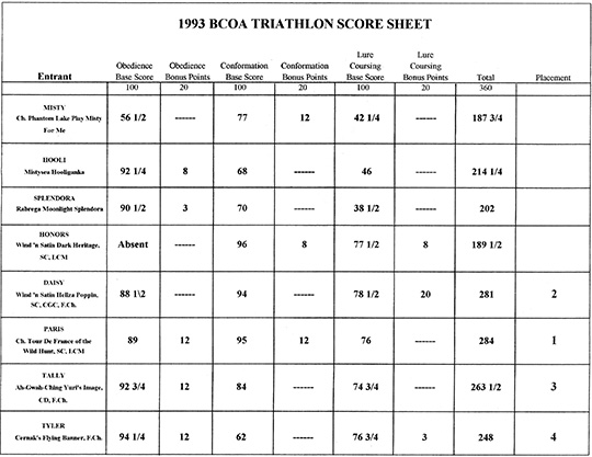 1993 Triathlon Scores
