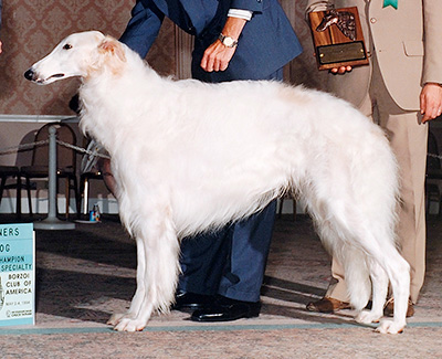 1992 Best Bred By Exhibitor In Specialty