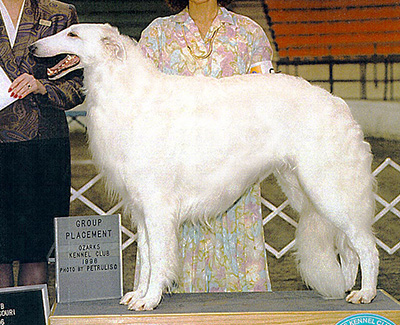 1994 Dog, Open - 2nd