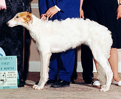 1994 Futurity Bitch, 6 months and under 9 - 1st