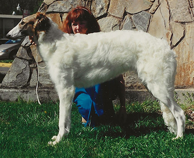 1994 Futurity Bitch, 6 months and under 9 - 2nd