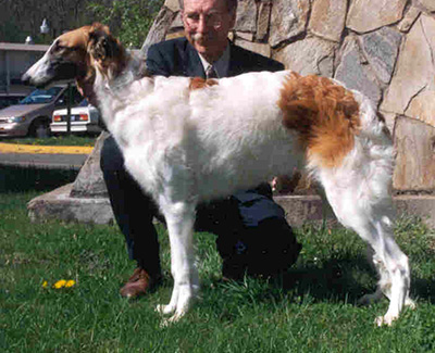 1994 Futurity Bitch, 6 months and under 9 - 4th