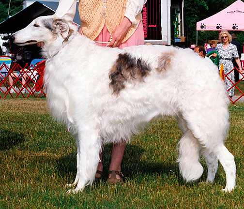 1994 Obedience Novice Class 'B' - 3rd