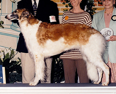 1995 Bitch, Amerian Bred - 4th