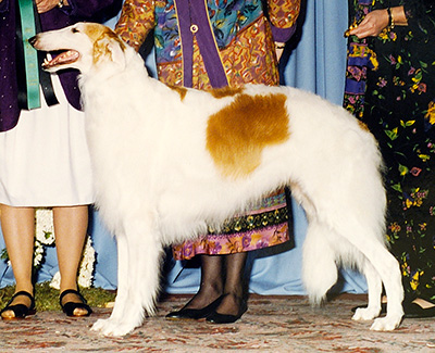 1996 Award of Merit