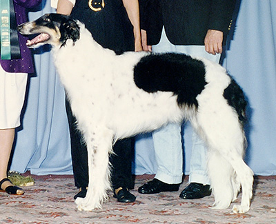 1996 Award of Merit