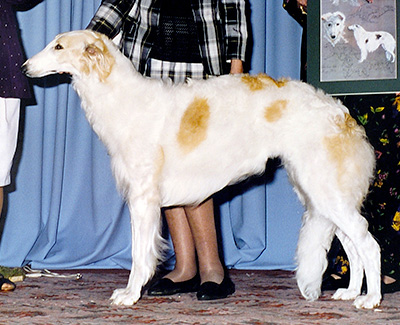 1992 Best Bred By Exhibitor In Specialty