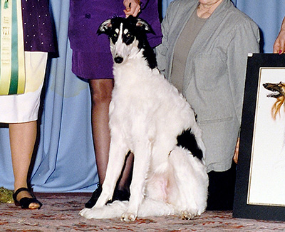 1996 Best Puppy