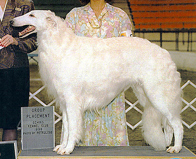 1996 Dog, Open - 3rd