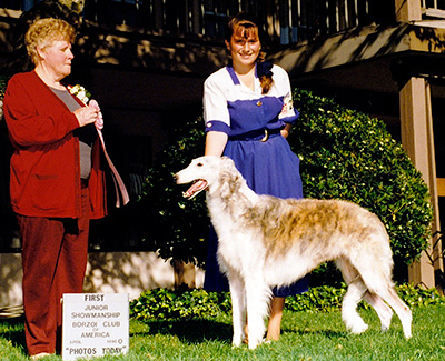 1996 Open Junior Showman Class - 4th