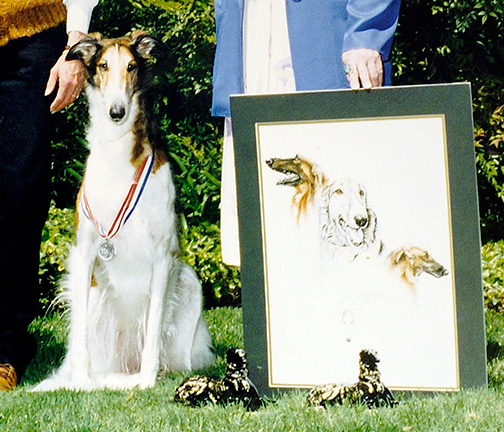 1996 Highest Scoring Borzoi in Open and Utility Combined