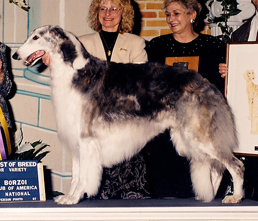 1997 Best in Specialty