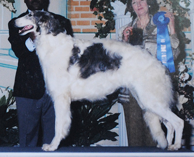 1997 Dog, 12 months and under 18 - 1st