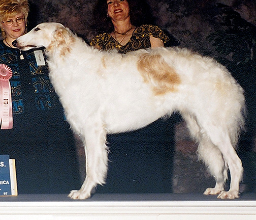 1997 Dog, 12 months and under 18 - 4th