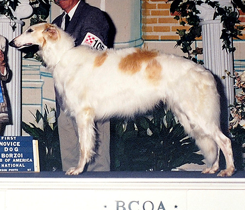 1997 Dog, Novice - 1st