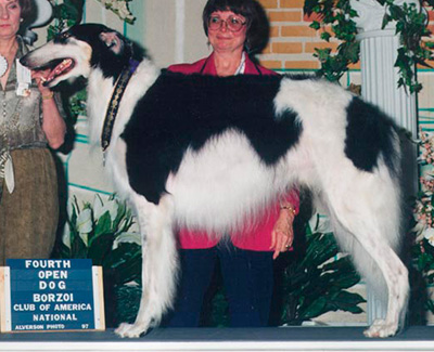 1997 Dog, Open - 4th