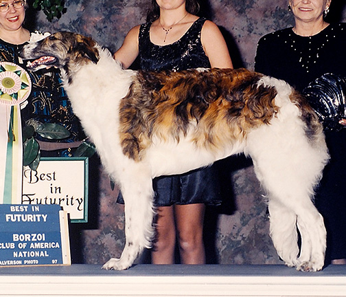 1997 Best in Futurity