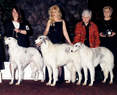 1997 Futurity Brood Bitch Class - 1st