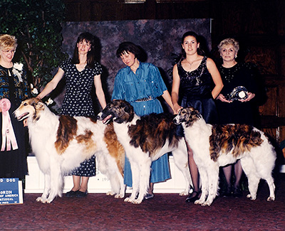 1997 Futurity Stud Dog Class - 1st