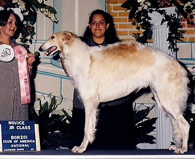 1997 Novice Junior Showman Class - 1st