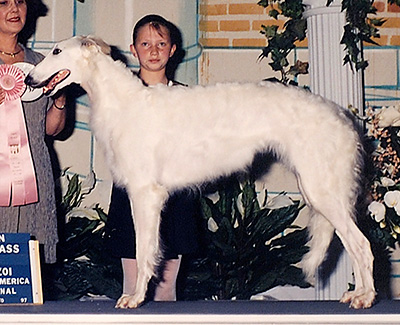 1997 Open Junior Showman Class - 1st