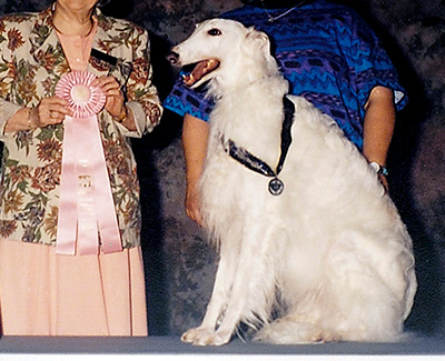 1997 Obedience Veteran Class - 1st