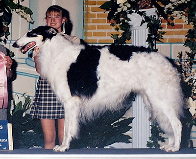 1997 Open Junior Showman Class - 1st