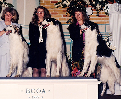 1997 Stud Dog Class - 1st