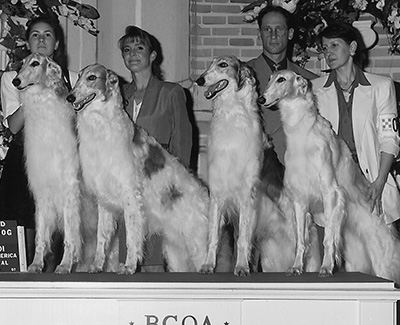 1997 Stud Dog Class - 2nd