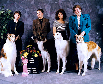 1998 Futurity Stud Dog Class - 1st