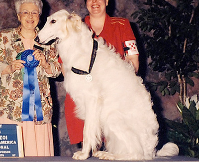 1998 Obedience Beginner Novice Class 'B' - 2nd