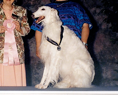 1998 Obedience Veteran Class - 2nd