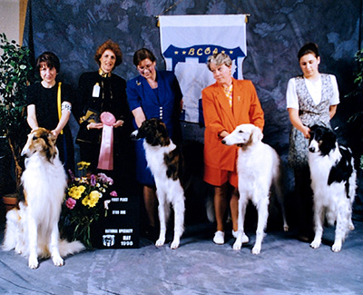 1998 Stud Dog Class - 1st
