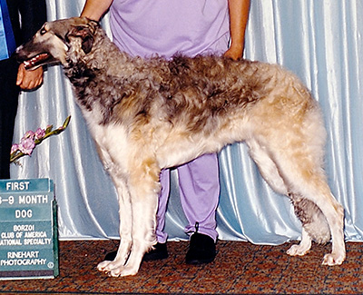1999 Dog, 6 months and under 9 - 1st