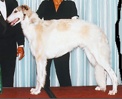 1999 Dog, 9 months and under 12 - 2nd
