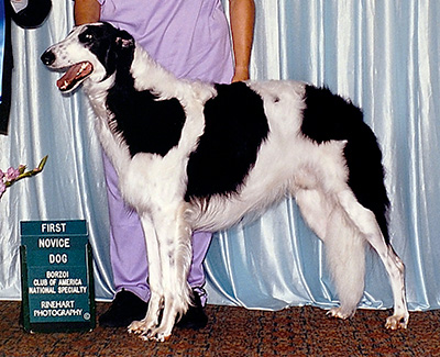 1999 Dog, Novice - 1st