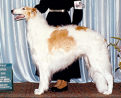 1999 Dog, Open - 1st