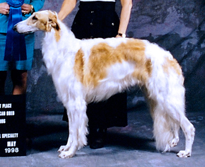 1999 Dog, Open - 4th