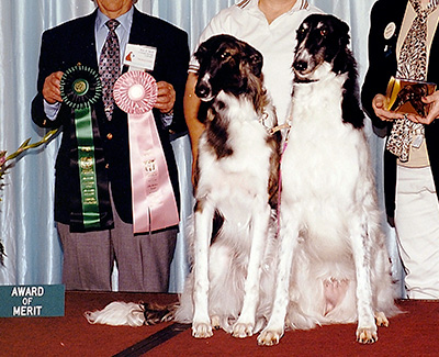 1999 Obedience Award of Merit