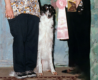 1999 Obedience Beginner Novice Class 'B' - 1st