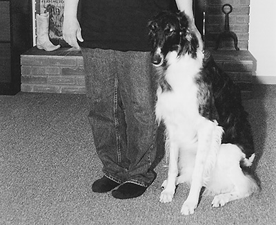 1999 Obedience Novice Class 'B' - 2nd